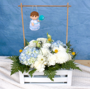 Canasto nacimientos niño